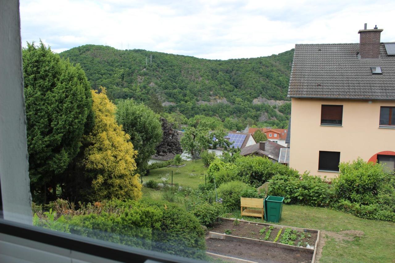 Ferienwohnung Zum Wildpark 에더제 외부 사진